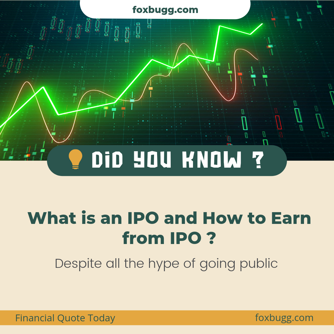 what is an ipo